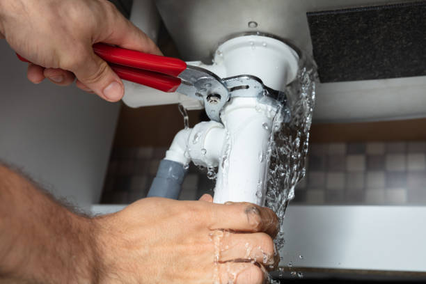 Best Carpet water damage restoration  in Bolindale, OH