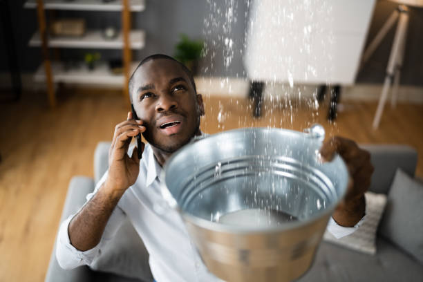  Bolindale, OH Water damage restoration Pros