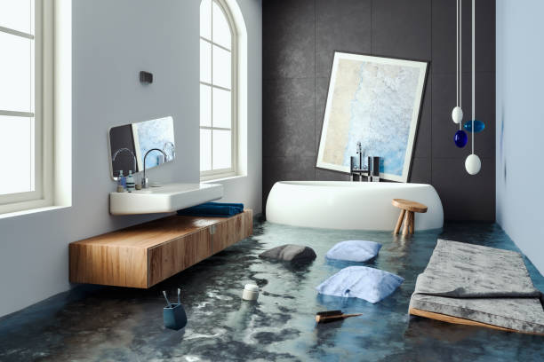 Professional Water damage restoration in Bolindale, OH