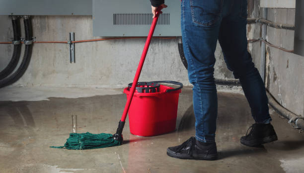 Best Water damage restoration near me  in Bolindale, OH