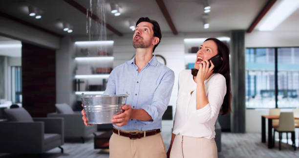 Best Water damage contractors near me  in Bolindale, OH
