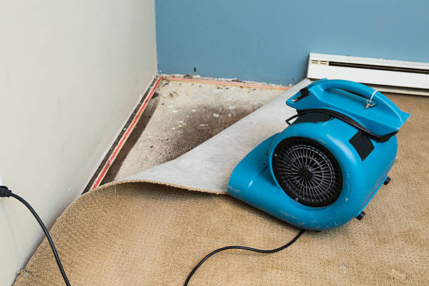 Best Flood damage cleanup  in Bolindale, OH
